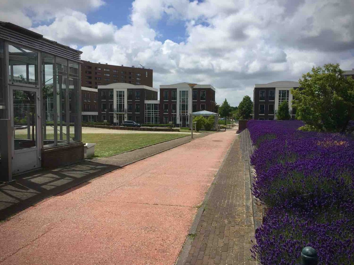 Praktijkruimte Zoetermeer te huur. in kantorencentrum wijk Rokkeveen Röntgenlaan 9, 2719DX