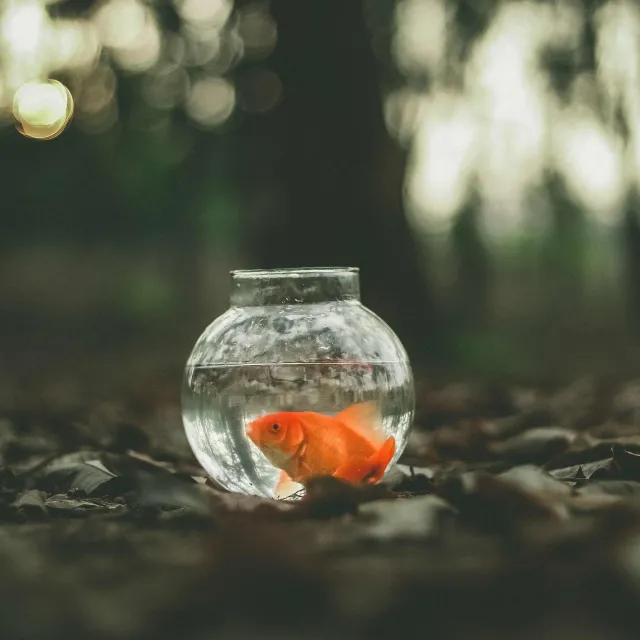 Behandeling/ coaching bij Burn-out klachten